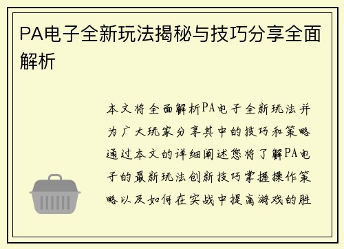 PA电子全新玩法揭秘与技巧分享全面解析